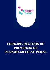 Principis rectors
