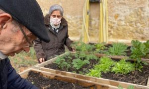 Hortiteràpia o cura de l'hort al Centre de Dia per a persones grans de Castellbisbal