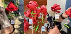 Roses solidàries contra la soledat no desitjada per Sant Jordi