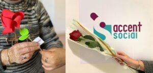 Roses solidàries i naturals per Sant Jordi per a la gent gran