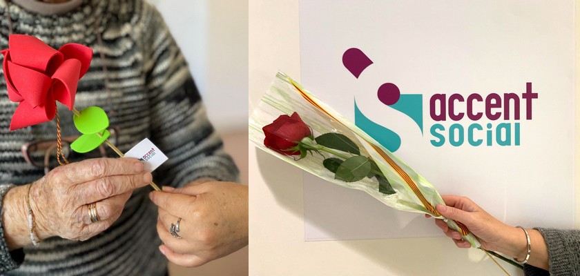 Roses solidàries i naturals per Sant Jordi per a la gent gran